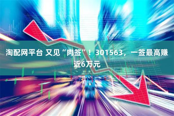 淘配网平台 又见“肉签”！301563，一签最高赚近6万元