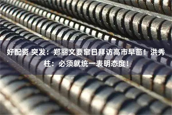 好配资 突发：郑丽文要窜日拜访高市早苗！洪秀柱：必须就统一表明态度！