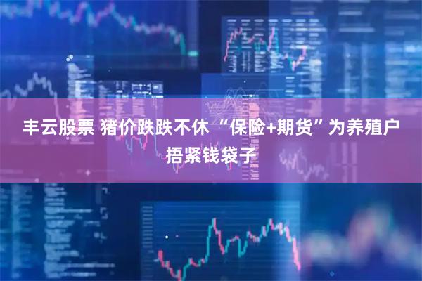丰云股票 猪价跌跌不休 “保险+期货”为养殖户捂紧钱袋子