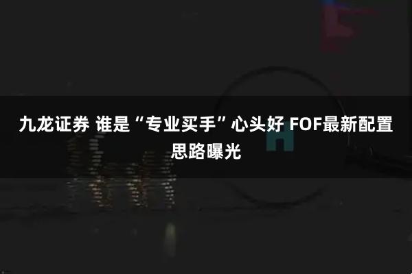 九龙证券 谁是“专业买手”心头好 FOF最新配置思路曝光